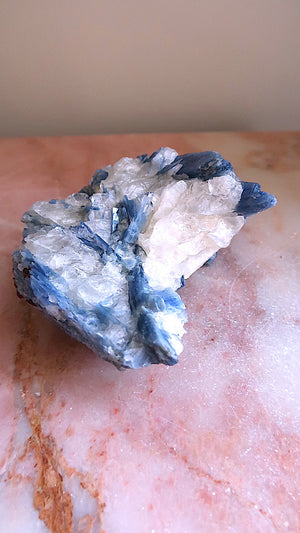 Large Premium Blue Kyanite Cluster