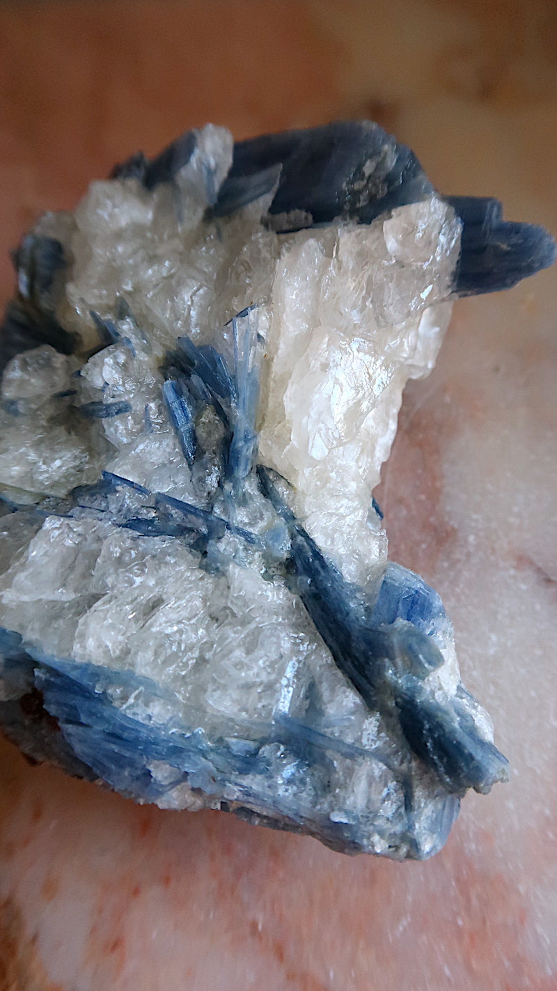 Large Premium Blue Kyanite Cluster