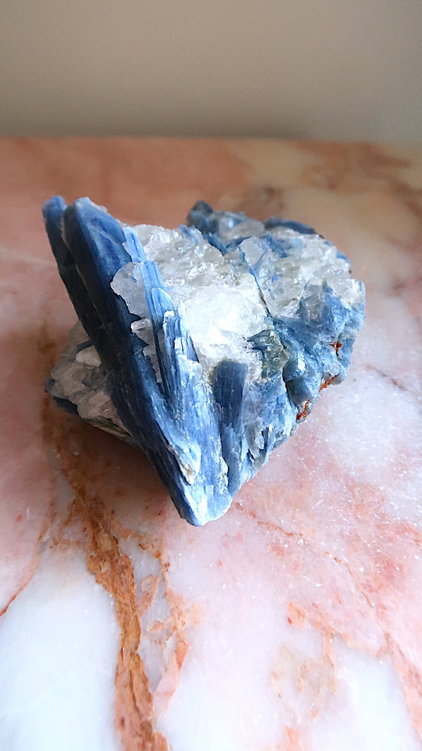 Large Premium Blue Kyanite Cluster