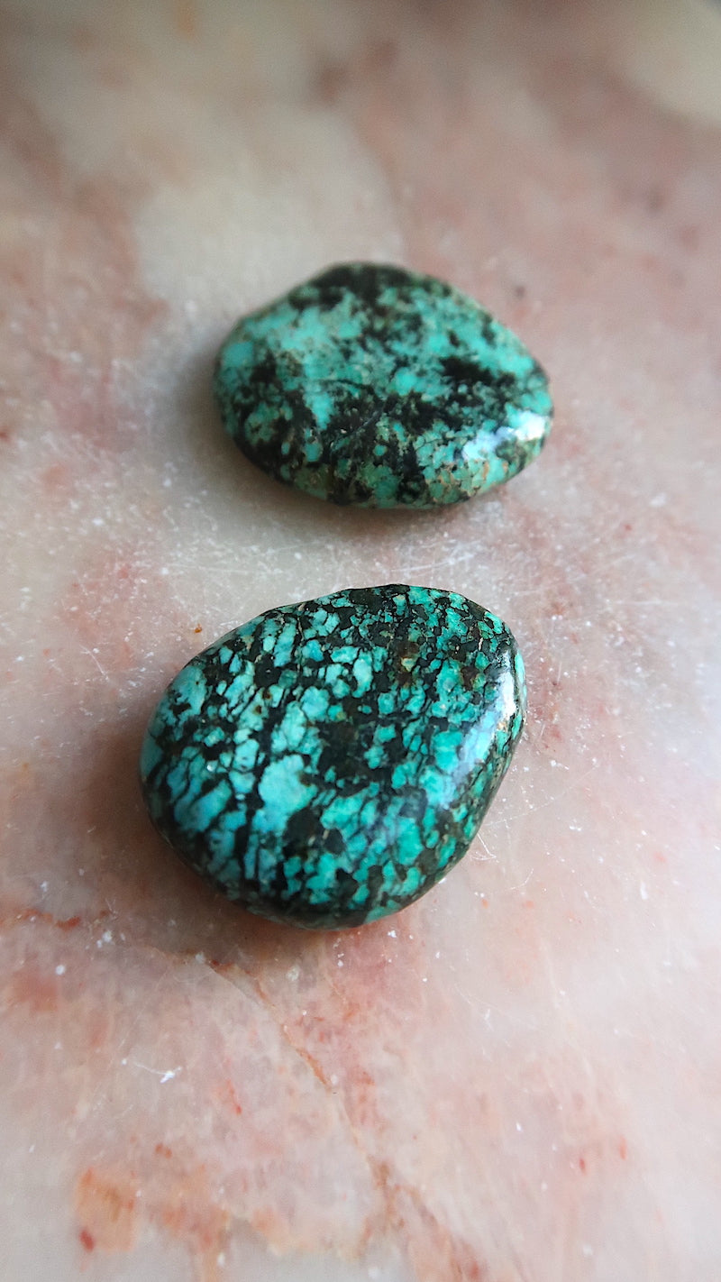 Turquoise Palm Stone