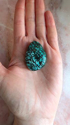 Turquoise Palm Stone