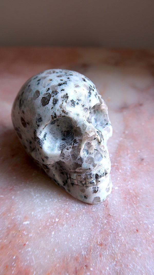 Kiwi Jasper Skull