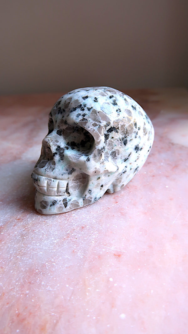 Kiwi Jasper Skull