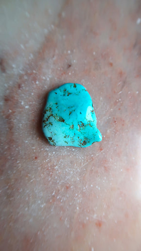 Small Turquoise - protection