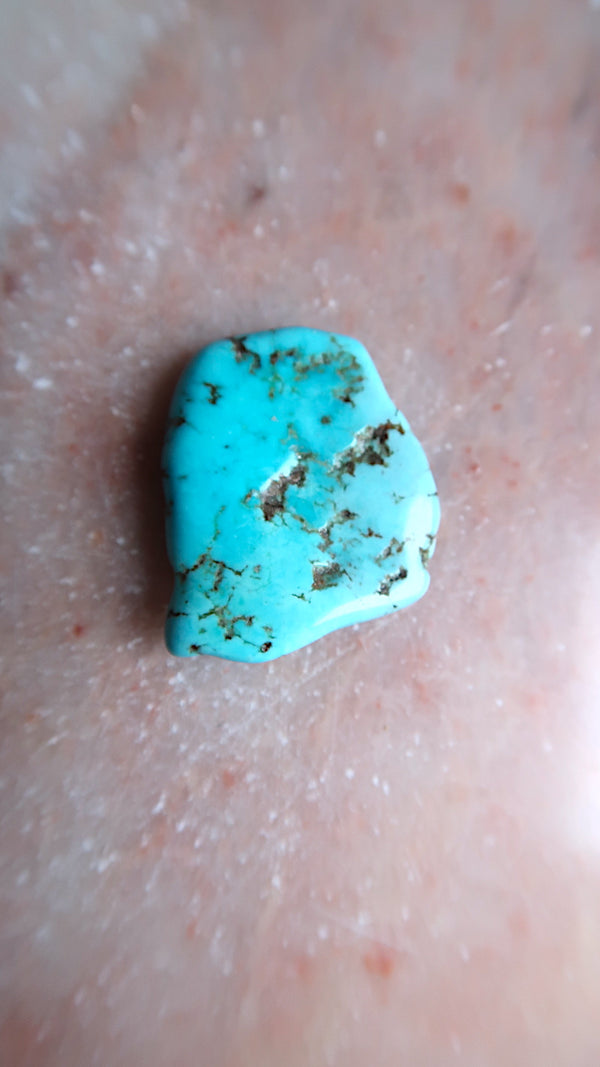 Small Turquoise - protection