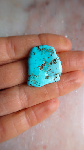 Small Turquoise - protection
