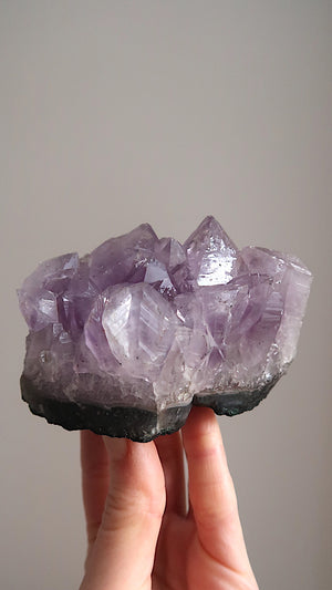 Raw Amethyst Cluster