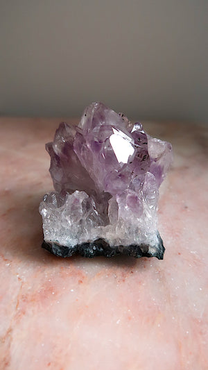 Raw Amethyst Cluster