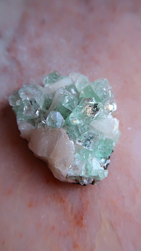 Premium Green Apophyllite