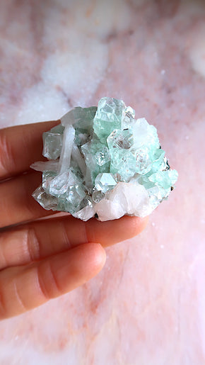 Premium Green Apophyllite