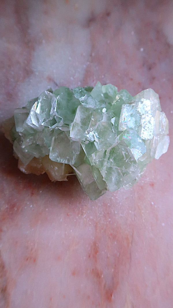 Premium Green Apophyllite