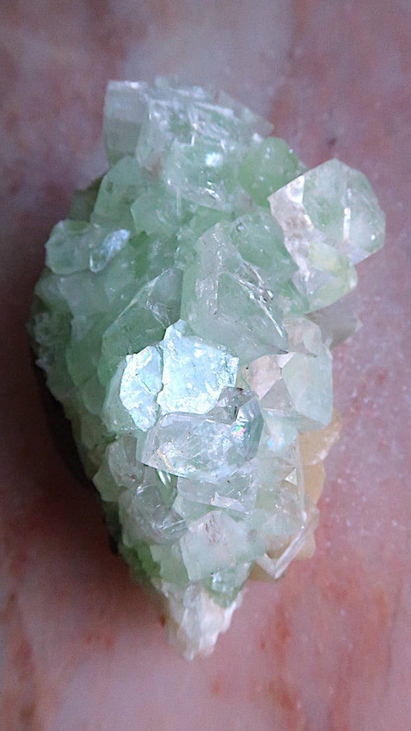 Premium Green Apophyllite