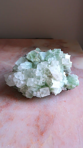 Large Premium Green Apophyllite