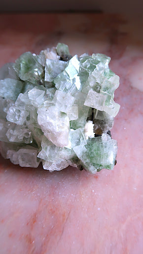 Large Premium Green Apophyllite