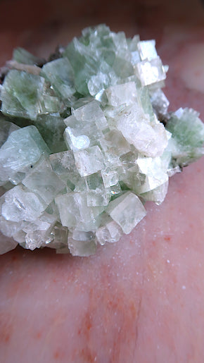 Large Premium Green Apophyllite