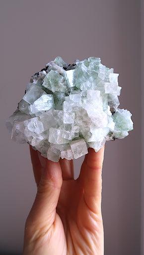 Large Premium Green Apophyllite