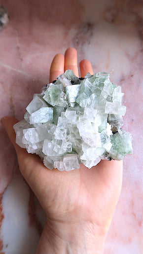 Large Premium Green Apophyllite