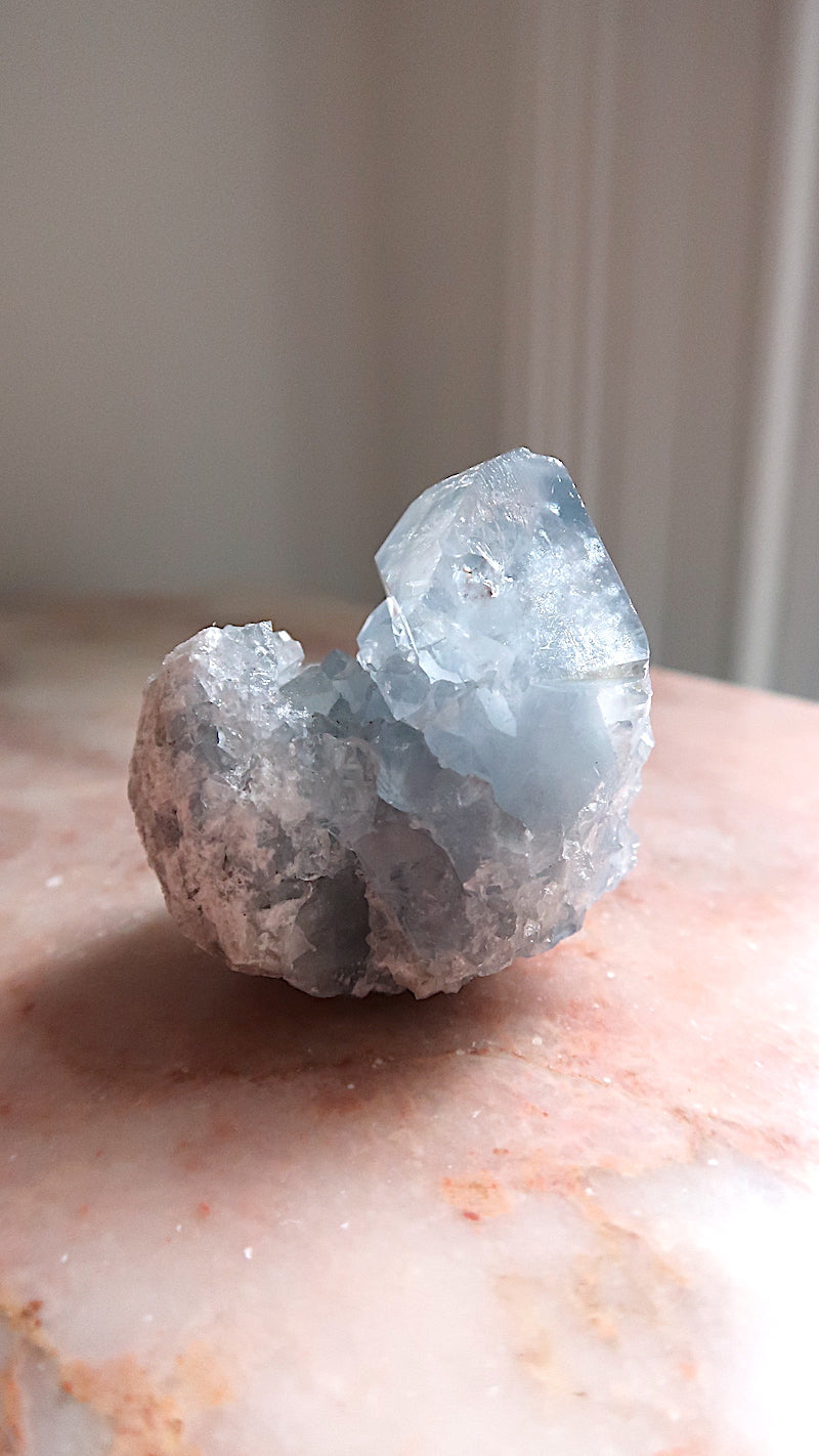 Premium Celestite Cluster