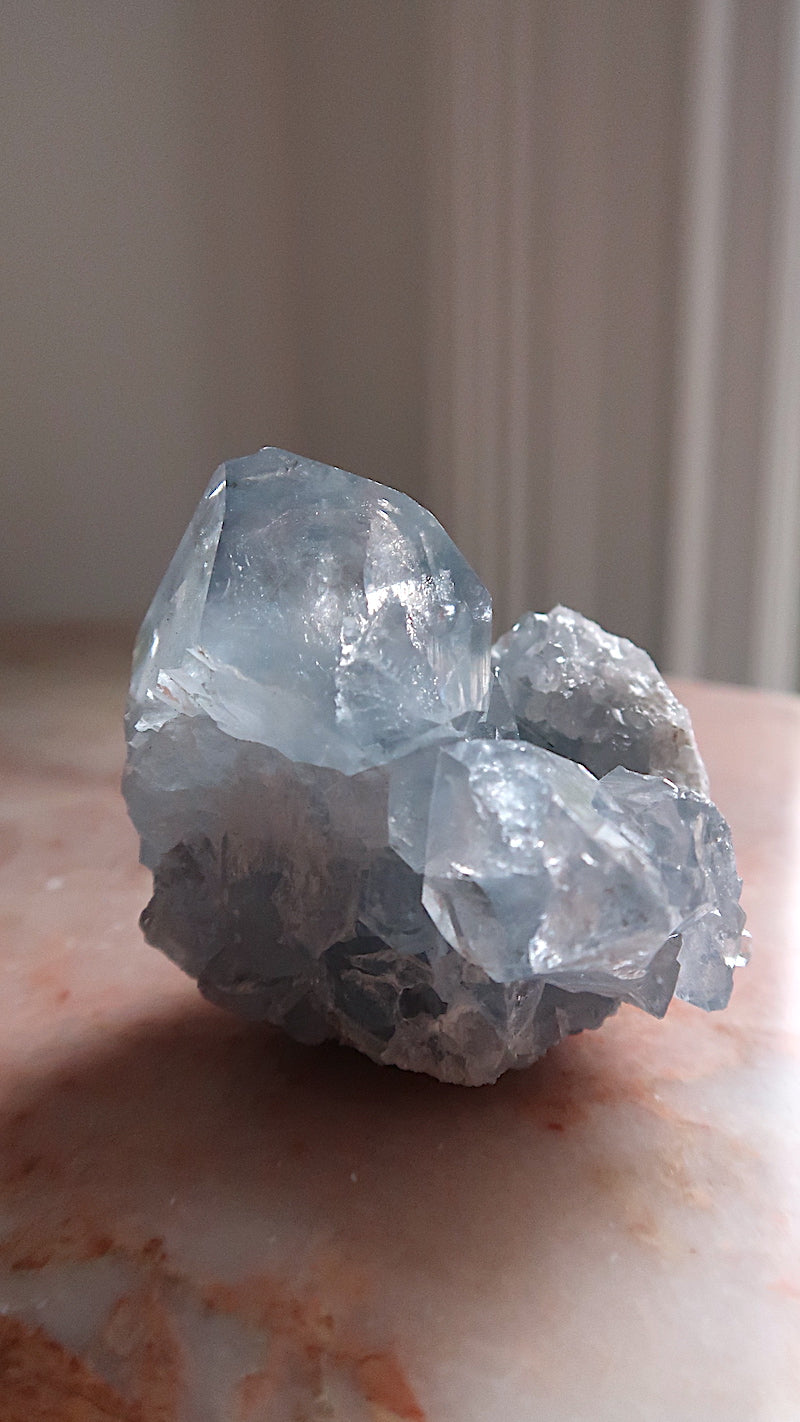 Premium Celestite Cluster