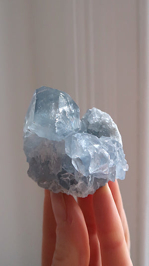 Premium Celestite Cluster