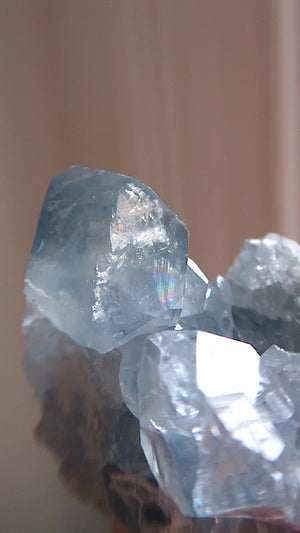 Premium Celestite Cluster