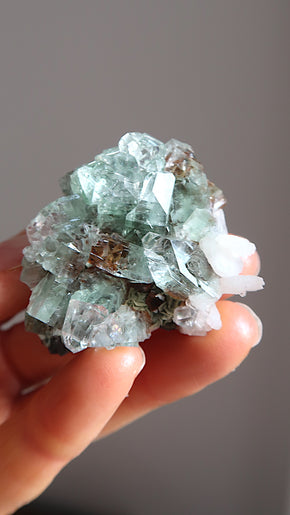 Premium Grade Green Apophyllite