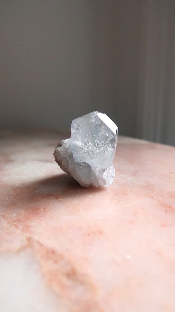 Premium Celestite Cluster