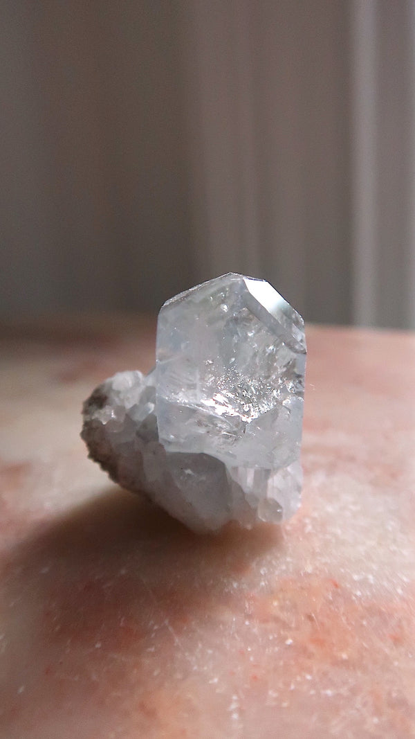 Premium Celestite Cluster