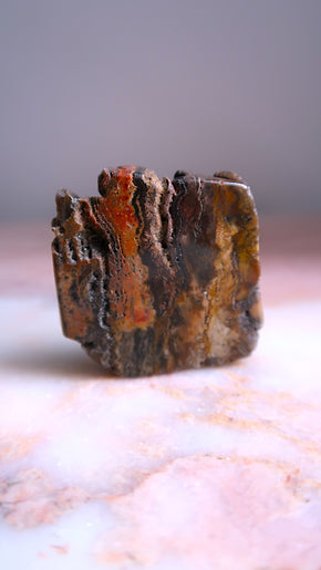Petrified Wood