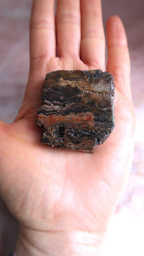 Petrified Wood