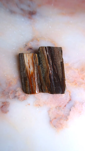 Petrified Wood
