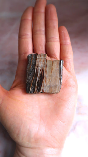 Petrified Wood