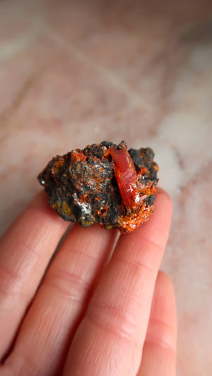 Special Crocoite Cluster