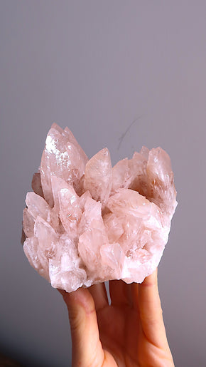Large Pink Angel Calcite