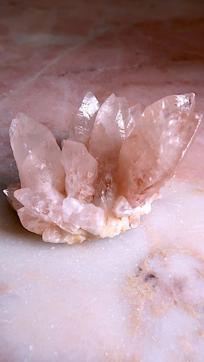Pink Angel Calcite