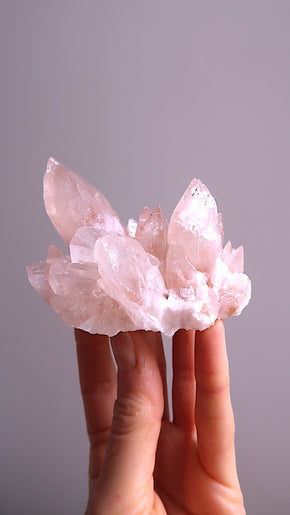 Pink Angel Calcite