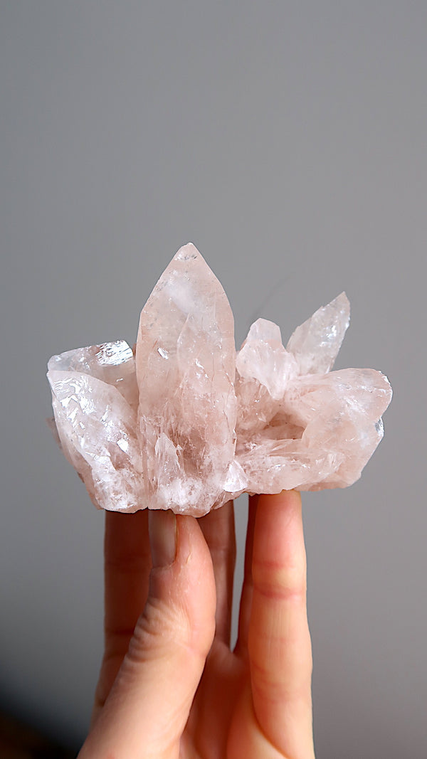 Pink Angel Calcite