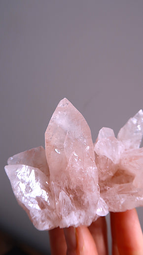 Pink Angel Calcite