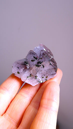 Fairy Garden Amethyst