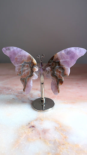 Amethyst Butterfly