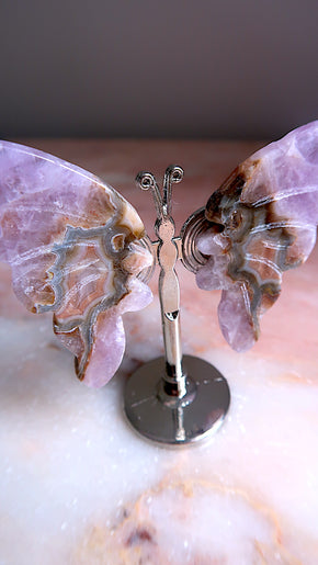 Amethyst Butterfly