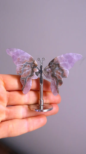Amethyst Butterfly