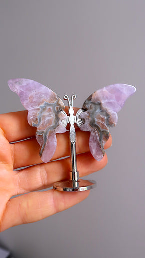 Amethyst Butterfly