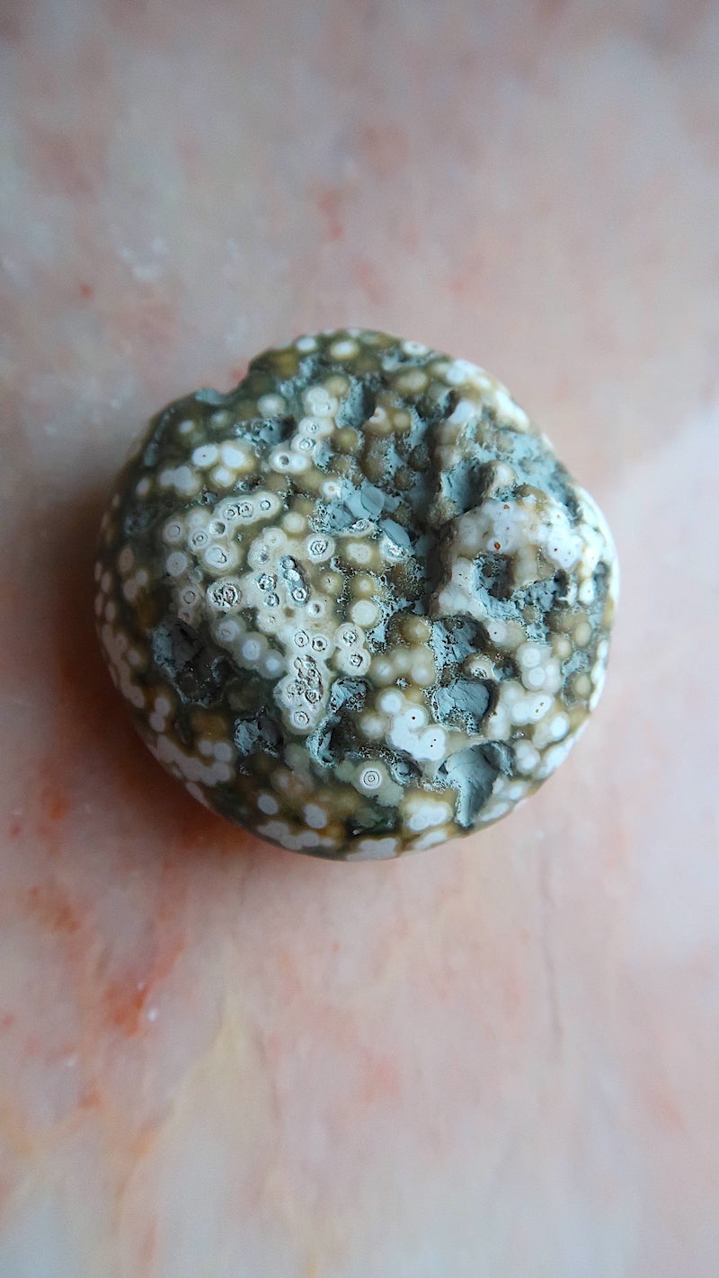 Ocean Jasper