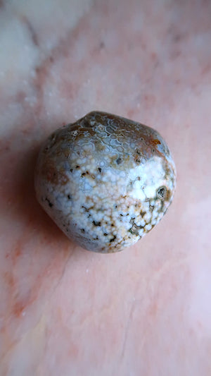 Ocean Jasper