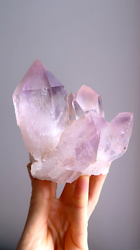 Amethyst Cluster