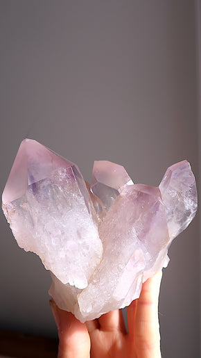 Amethyst Cluster