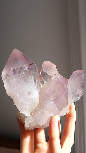 Amethyst Cluster