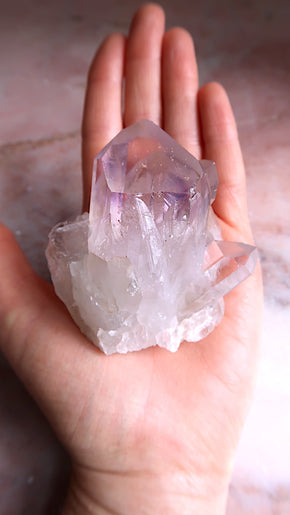 Amethyst Cluster