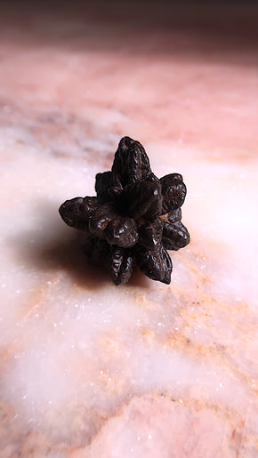 Egyptian Prophecy Stone